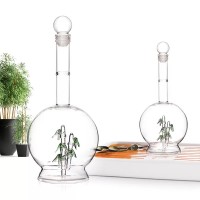 High Borosilicate Lining Bamboo Shape Clear Glass Water Decanter